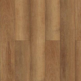 Фото Grabo Ideal / Doreah