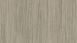 Фото Линолеум Gerflor Taralay Impression Wood 0680 Infinity Greige