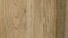 Фото Линолеум Gerflor Taralay Impression Wood 0727 Sycamore Vanilla