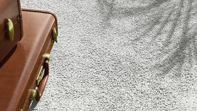Фото 6C59 / Колекція Exclusive 1009 SL / Ковролін в плитці Vorwerk