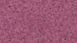 Фото Лінолеум Gerflor Elegance 0331 Plum
