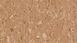 Фото Лінолеум Gerflor Mipolam Cosmo 2655 Tangerine